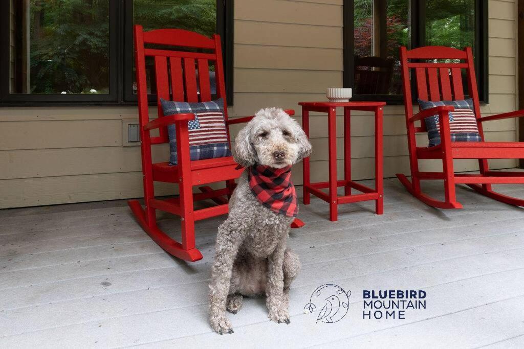 Bluebird Mountain Home Mount Torry Furnace Екстериор снимка